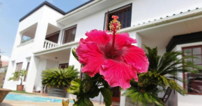Отель Helderberg Guesthouse  Гoрдoн'с Бay